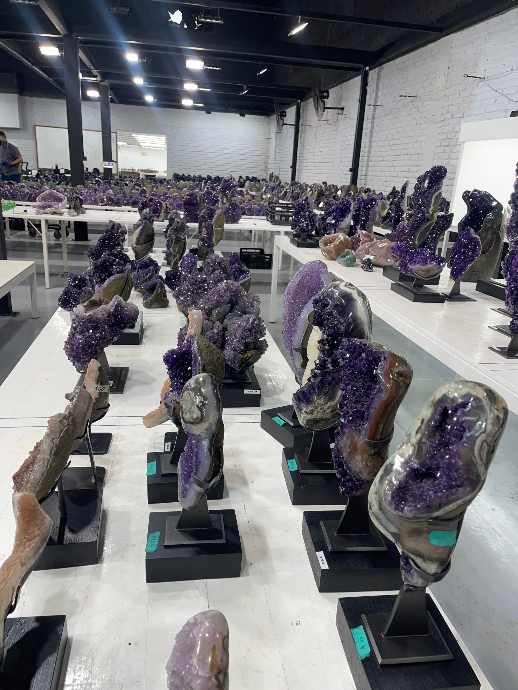 Le Stage Minerals showroom: rows of amethyst pieces on bases, seen from the side