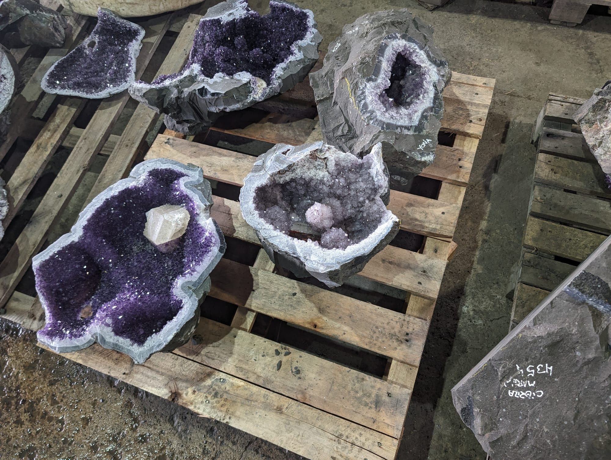 Cinco geodas de amatista abiertas sobre una tarima, con un cristal de calcita en el centro de la mayor
